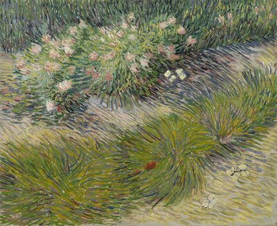 Herbe et papillons - Vincent van Gogh